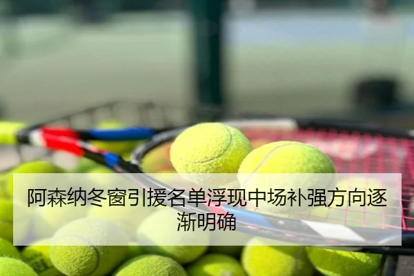 阿森纳冬窗引援名单浮现中场补强方向逐渐明确 - eastmoney